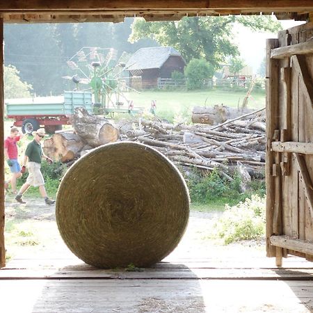 Urlaub Am Bio-Bauernhof Liebchen Villa Zeutschach Eksteriør bilde