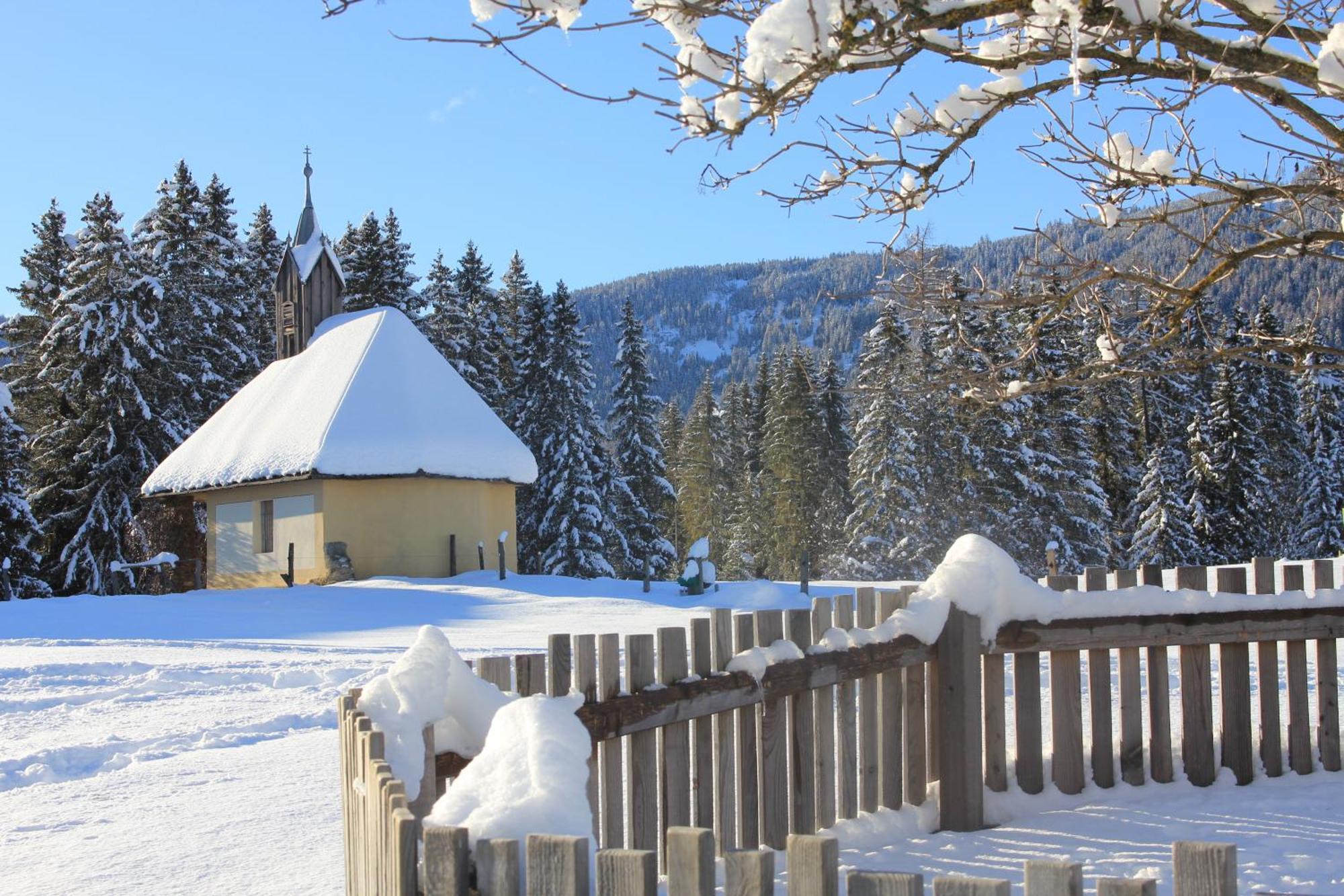 Urlaub Am Bio-Bauernhof Liebchen Villa Zeutschach Eksteriør bilde