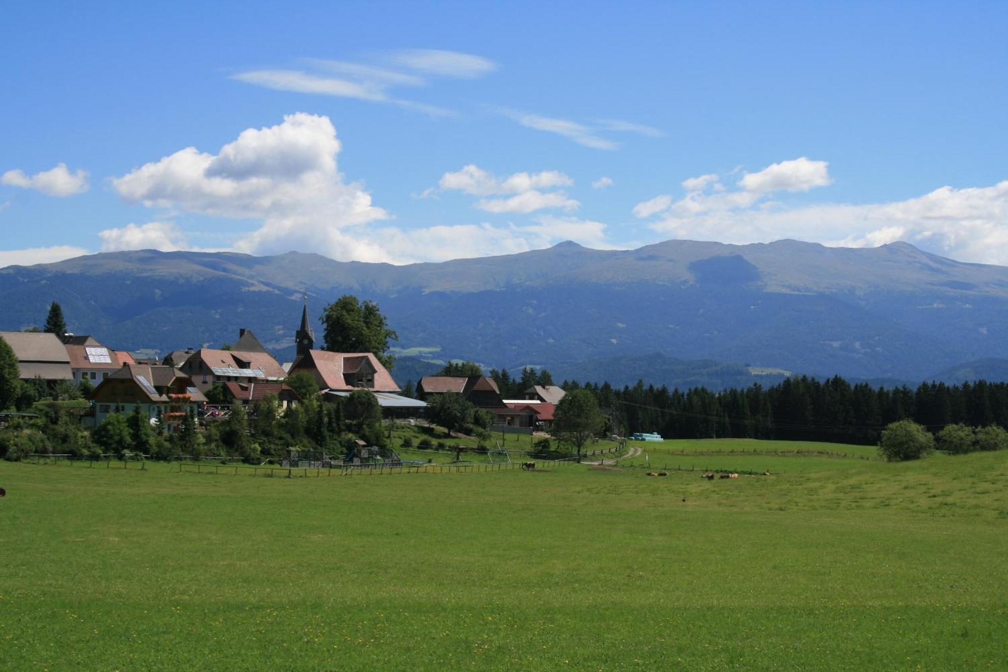 Urlaub Am Bio-Bauernhof Liebchen Villa Zeutschach Eksteriør bilde