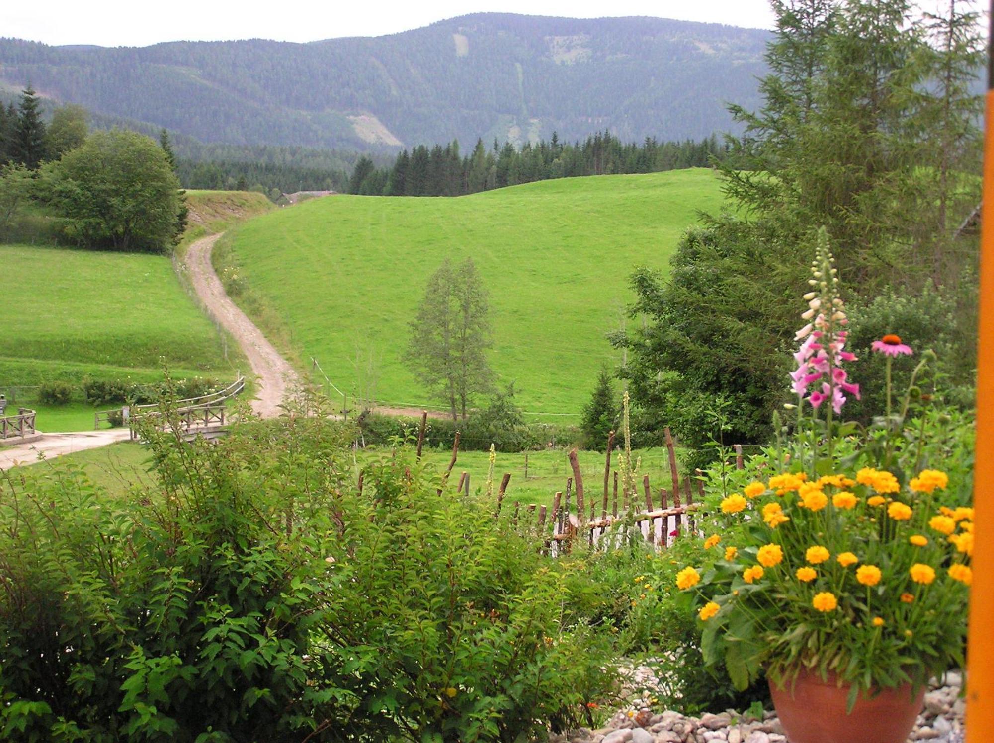 Urlaub Am Bio-Bauernhof Liebchen Villa Zeutschach Eksteriør bilde