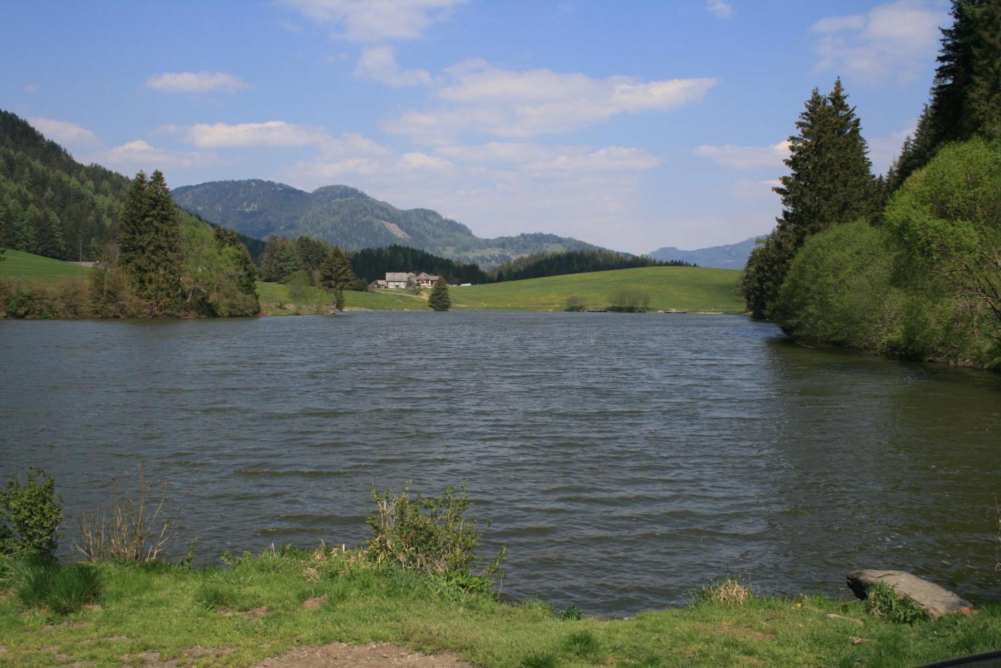 Urlaub Am Bio-Bauernhof Liebchen Villa Zeutschach Eksteriør bilde