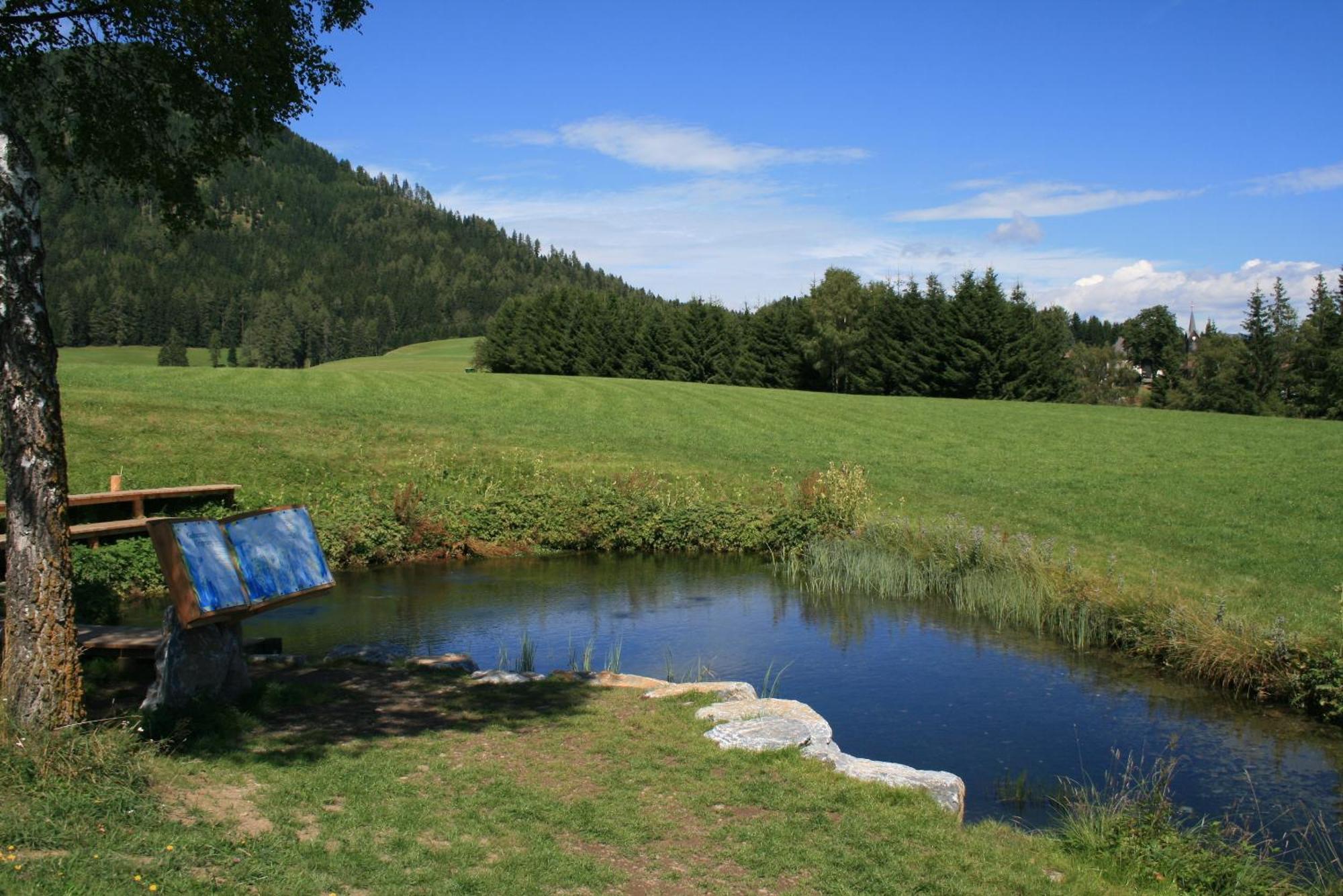 Urlaub Am Bio-Bauernhof Liebchen Villa Zeutschach Eksteriør bilde